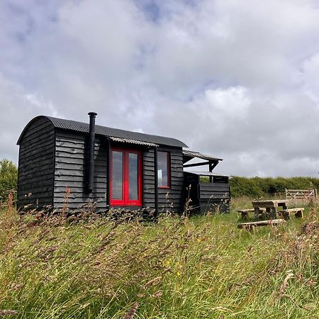Shepherds Hut In A Private Meadow With Sea Views Hartland Luaran gambar