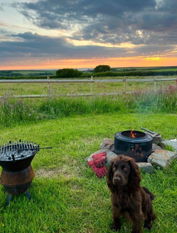 Shepherds Hut In A Private Meadow With Sea Views Hartland Luaran gambar